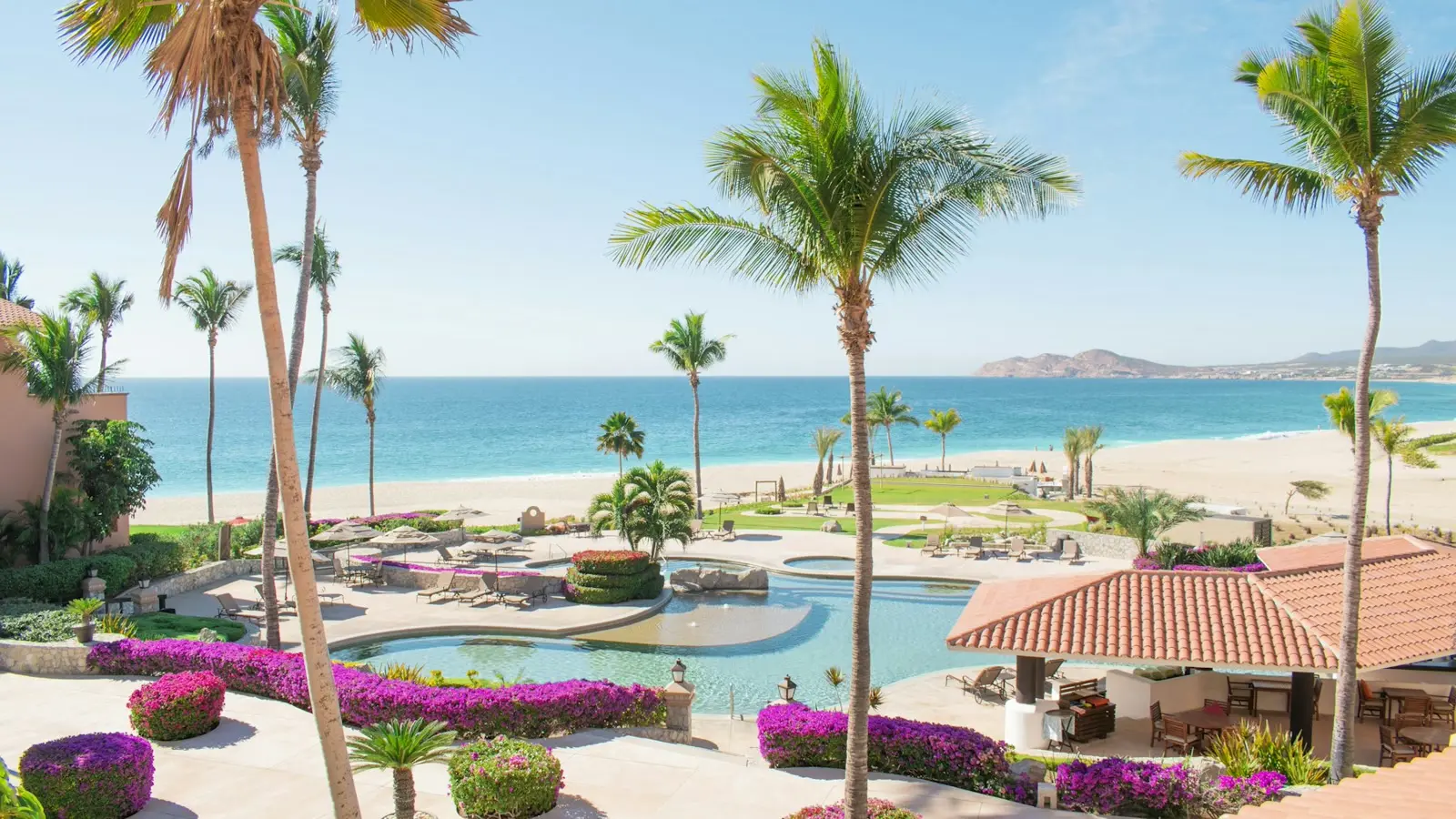 Beachfront resort pool lined with palm trees in Los Cabos