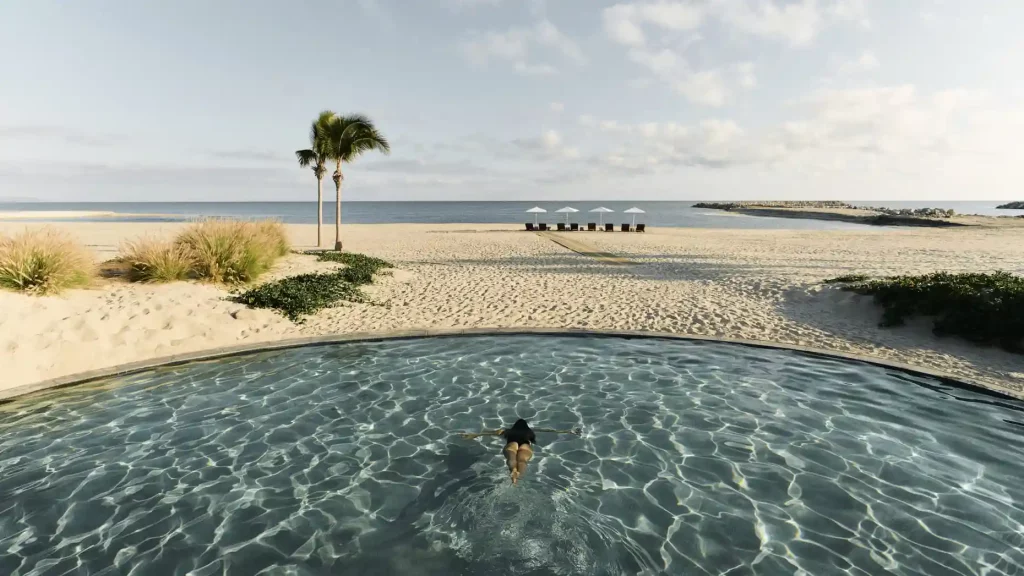 Costa palmas